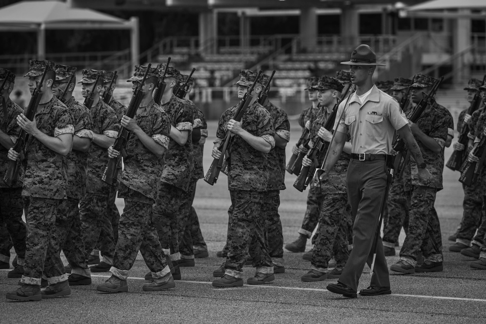 Echo Company Drill