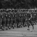 Echo Company Drill