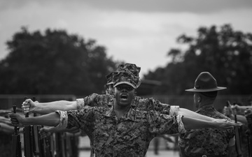Echo Company Drill