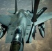 Wings of Liberty