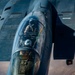 Wings of Liberty