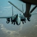 Wings of Liberty