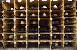 Global Medic: Joint, International Training to Strengthen Battlefield Medical Readiness