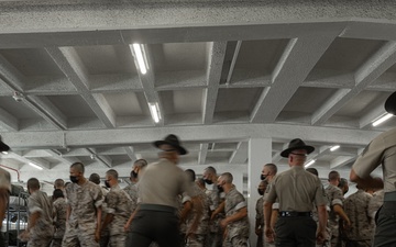 Echo Company Pick-up