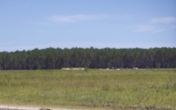 75th Ranger Regiment conducts joint live-fire training