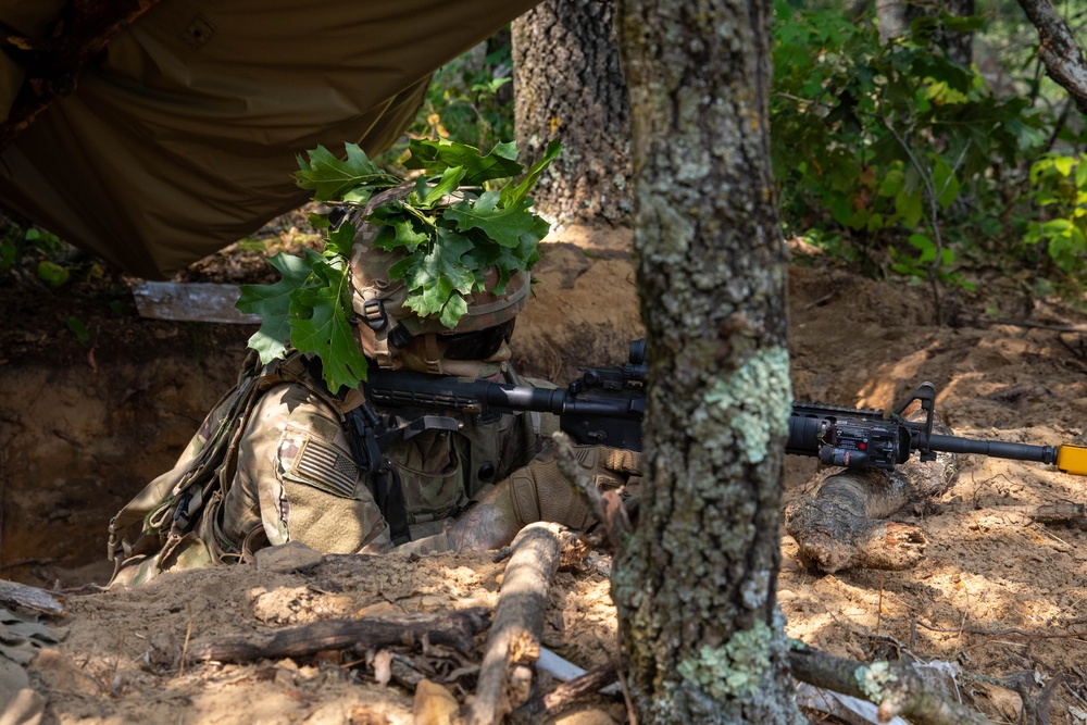 CSTX 2025 Security Lookout