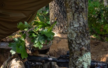 CSTX 2025 Security Lookout