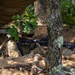 CSTX 2025 Security Lookout
