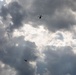 HMLA 775 conduct close air support training