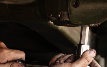 11th MEU and 1st LAR Bn. Marines conduct JLTI