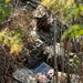 U.S. Marines participate in Ground Reconnaissance and Surveillance Course