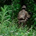 New Zealand Defence Force trains alongside 1-38 Infantry during situational exercise in Republic of Korea