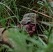 New Zealand Defence Force trains alongside 1-38 Infantry during situational exercise in Republic of Korea