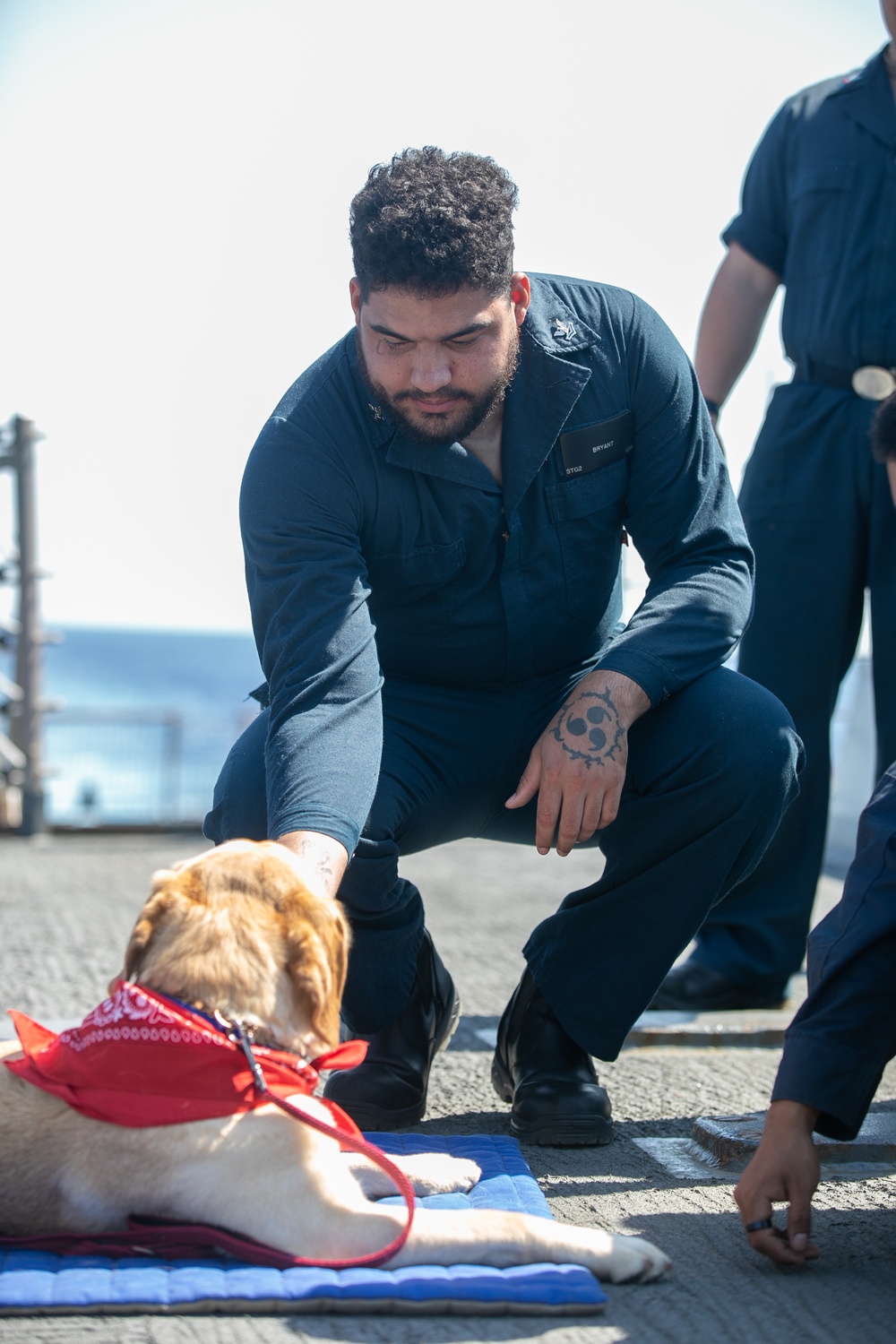 USS Mitscher (DDG 67) Sailor greets working dog