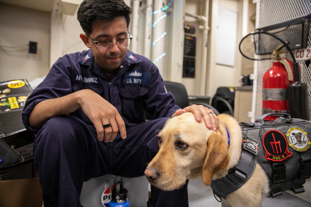 USS Mitscher (DDG 57) Sailor greets USS Gerald R. Ford (CVN 78) working dog