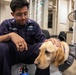 USS Mitscher (DDG 57) Sailor greets USS Gerald R. Ford (CVN 78) working dog