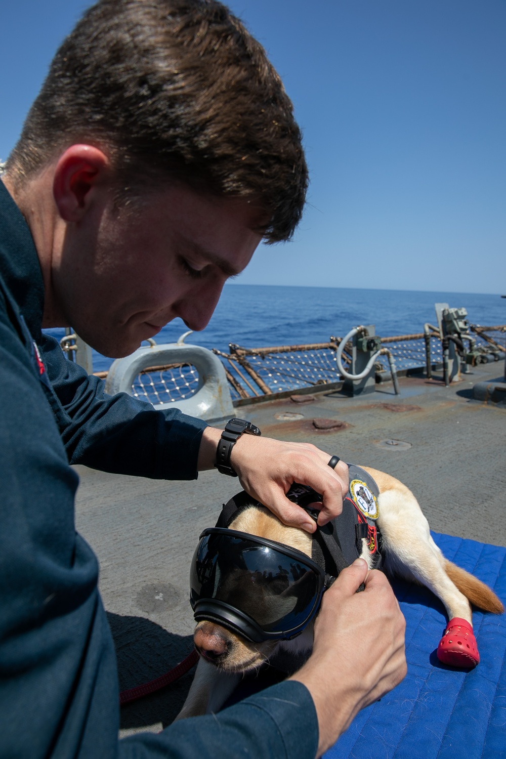 USS Gerald R. Ford (CVN 78) Sailor puts flight gear on working dog
