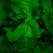 Talisman Sabre 25: Navy SEALs, Marine Raiders Enhance Combat Readiness