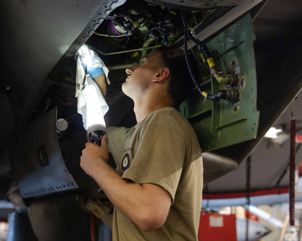 VFA-213 Sailor Conducts Maintenance