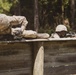 Delta Company Day Movement Course