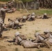 Delta Company Day Movement Course