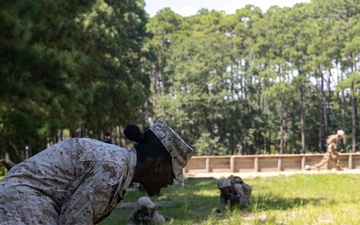 Delta Company Basic Warrior Training