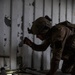 U.S. Navy EOD King Crab 2025