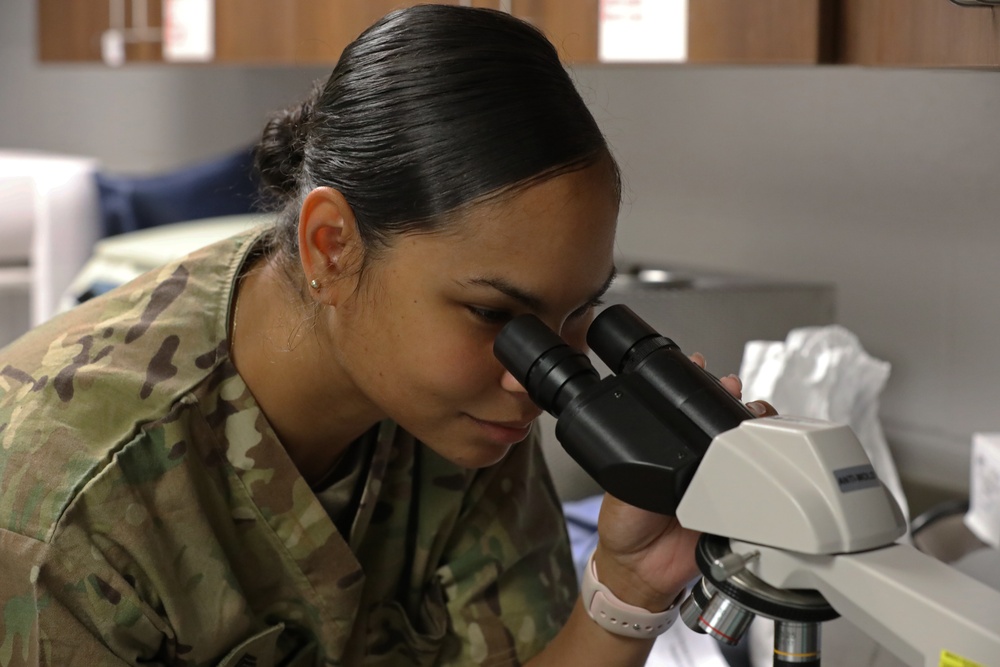Army Reserve Soldiers provide veterinary services for the local community during Health Broome