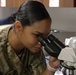 Army Reserve Soldiers provide veterinary services for the local community during Health Broome