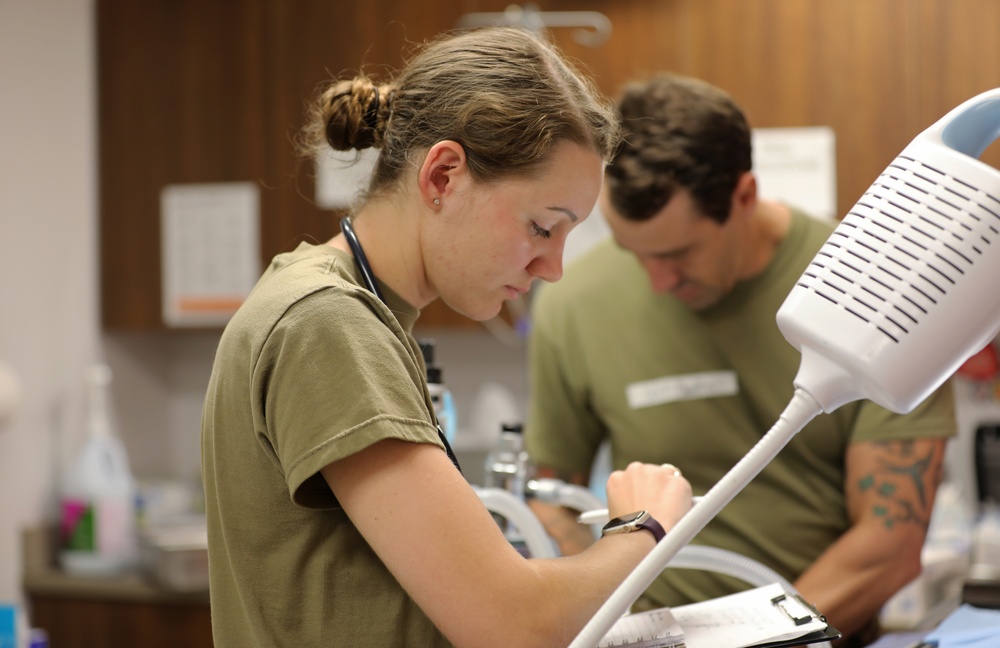 Army Reserve Soldiers provide veterinary services for the local community during Health Broome