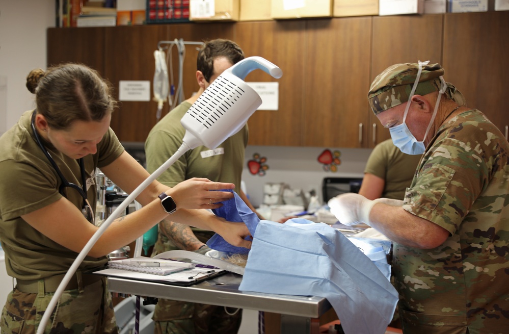 Army Reserve Soldiers provide veterinary services for the local community during Health Broome