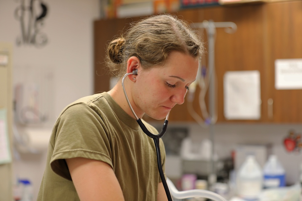 Army Reserve Soldiers provide veterinary services for the local community during Health Broome