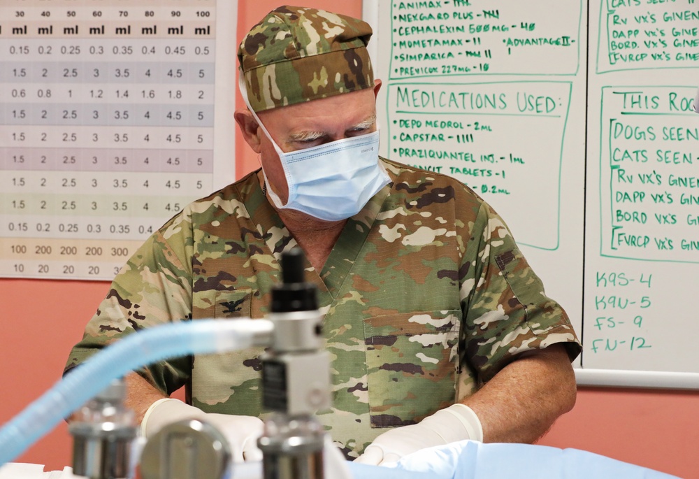 Army Reserve Soldiers provide veterinary services for the local community during Health Broome