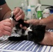 Army Reserve Soldiers provide veterinary services for the local community during Health Broome