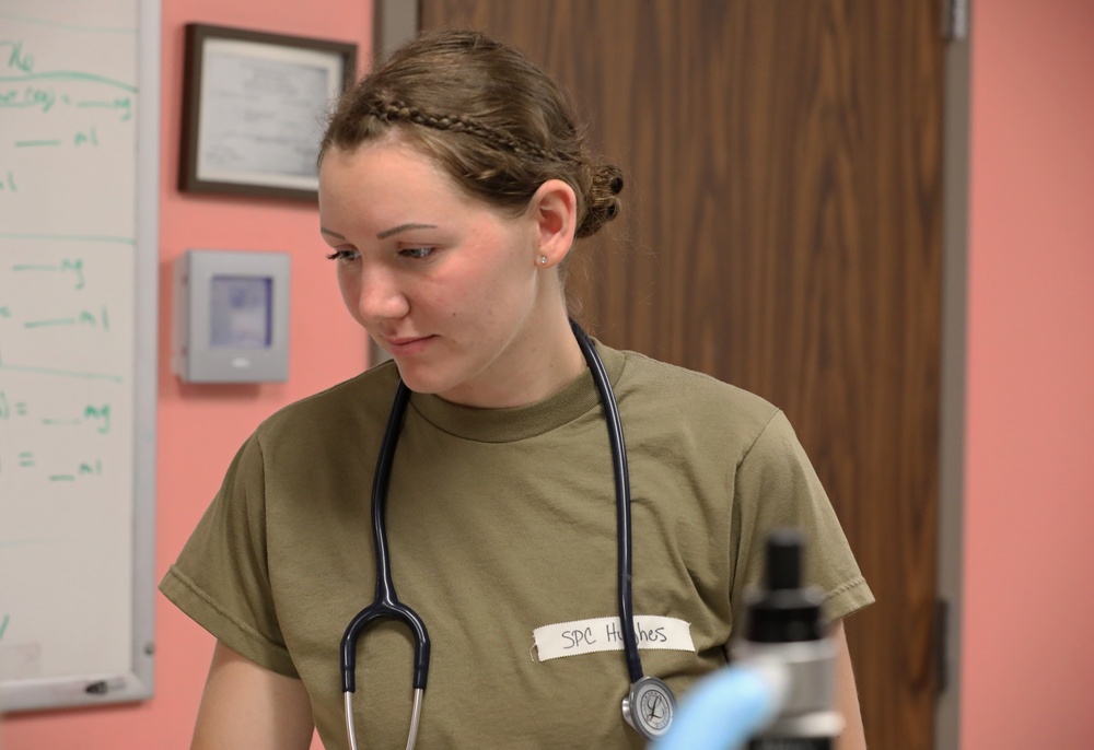 Army Reserve Soldiers provide veterinary services for the local community during Health Broome