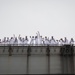 USS Carl Vinson Returns to Home Port