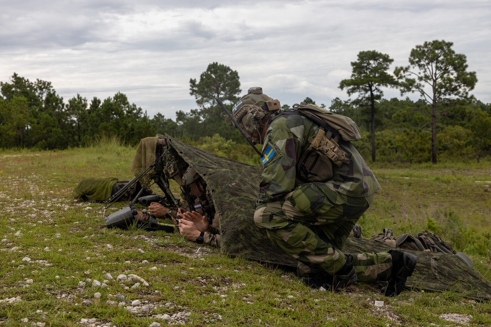 2nd ANGLICO &amp; NATO Allies Combined Arms Live Fire Day 2