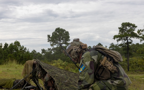 2nd ANGLICO &amp; NATO Allies Combined Arms Live Fire Day 2