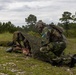 2nd ANGLICO &amp; NATO Allies Combined Arms Live Fire Day 2