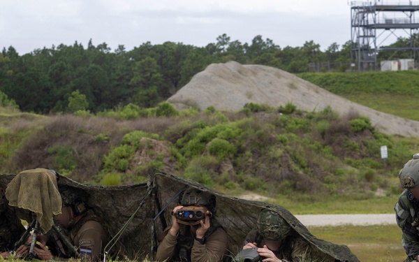 2nd ANGLICO &amp; NATO Allies Combined Arms Live Fire Day 2