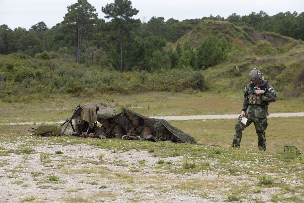 2nd ANGLICO &amp; NATO Allies Combined Arms Live Fire Day 2
