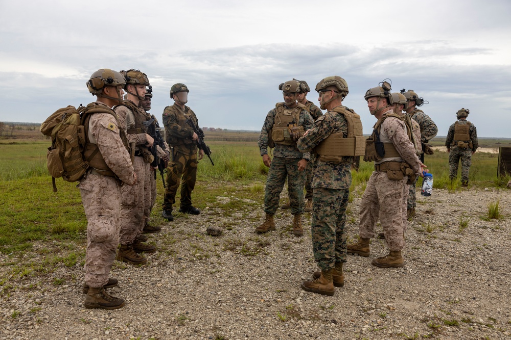 2nd ANGLICO &amp; NATO Allies Combined Arms Live Fire Day 2