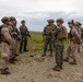 2nd ANGLICO &amp; NATO Allies Combined Arms Live Fire Day 2