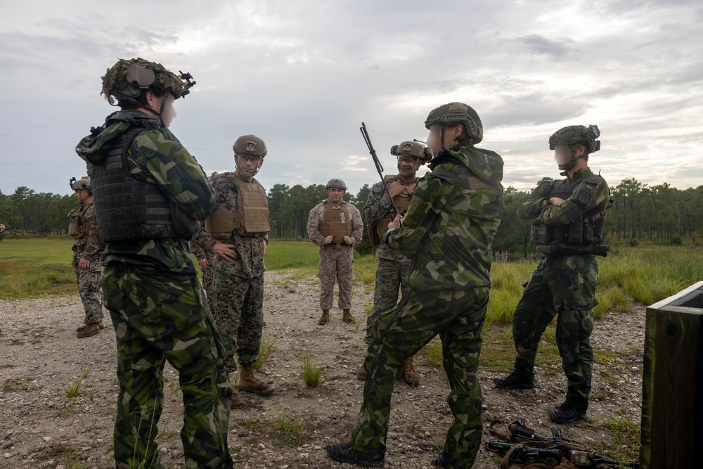 2nd ANGLICO &amp; NATO Allies Combined Arms Live Fire Day 2