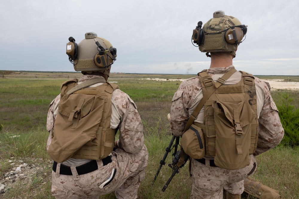 2nd ANGLICO &amp; NATO Allies Combined Arms Live Fire Day 3
