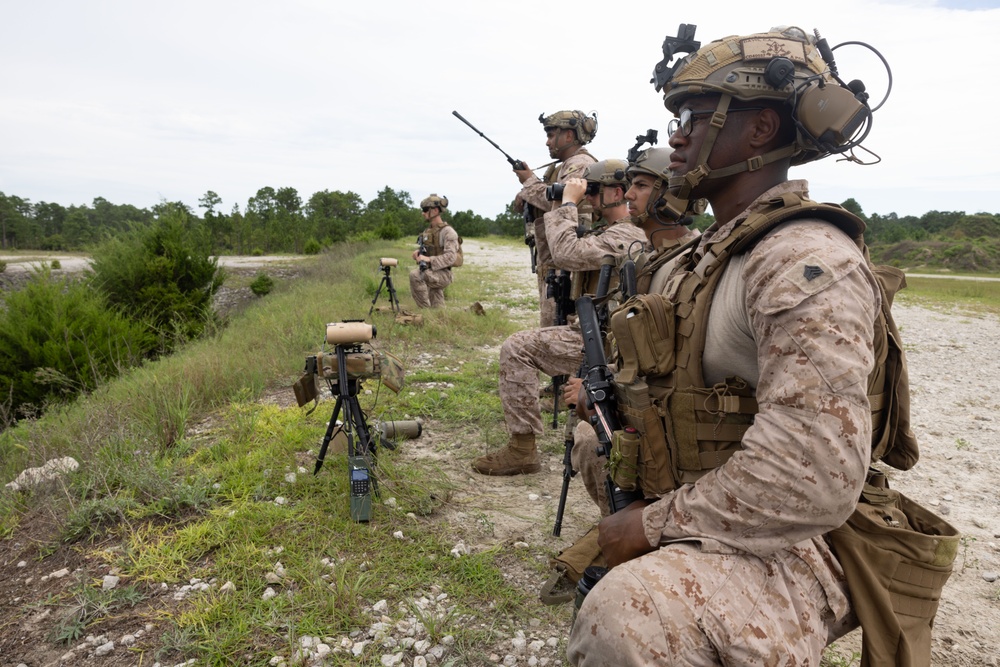 2nd ANGLICO &amp; NATO Allies Combined Arms Live Fire Day 3