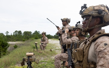 2nd ANGLICO &amp; NATO Allies Combined Arms Live Fire Day 3