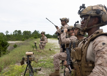 2nd ANGLICO &amp; NATO Allies Combined Arms Live Fire Day 3