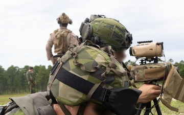2nd ANGLICO &amp; NATO Allies Combined Arms Live Fire Day 3