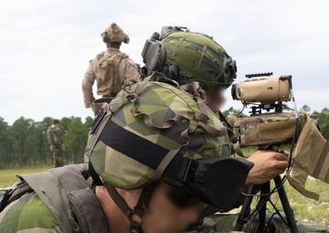 2nd ANGLICO &amp; NATO Allies Combined Arms Live Fire Day 3